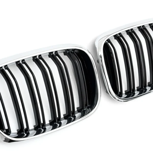 Dubbel Ribb BMW X4 Grill G02 X3 G01 F97 F98